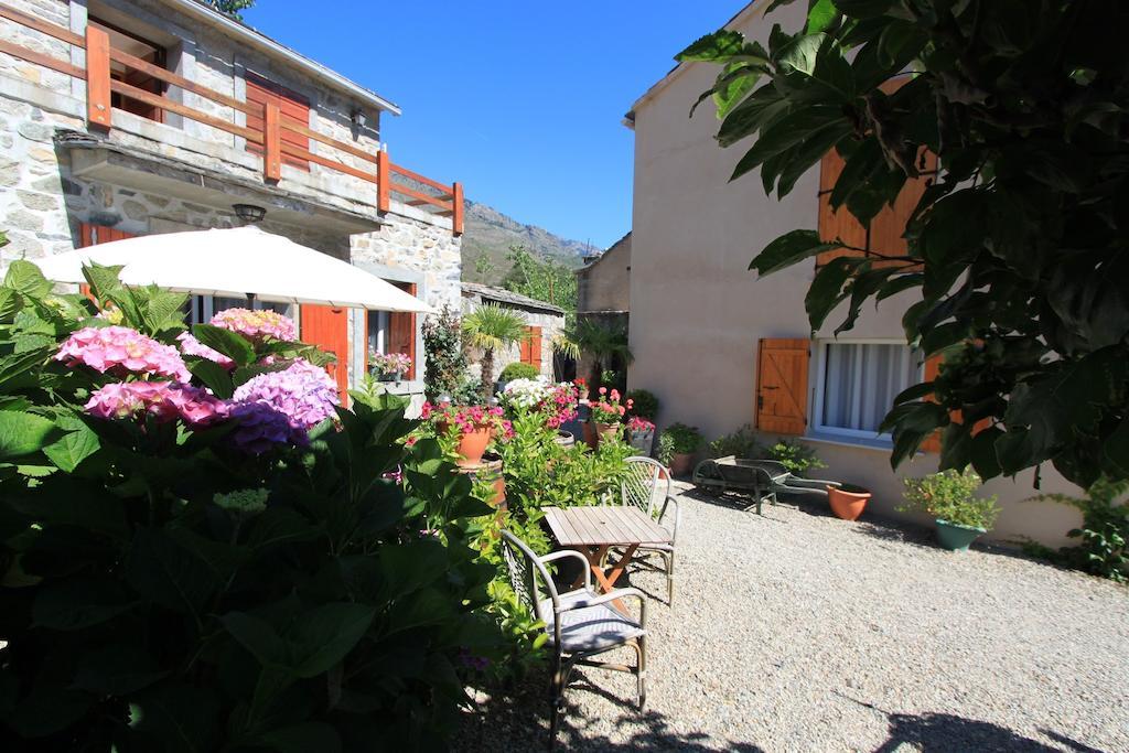 A MANDRIA, appartements avec cuisine 30m2, patio, vue Montagnes et citadelle, 5 minutes à pied du centre ville et des rivières Corte  Esterno foto