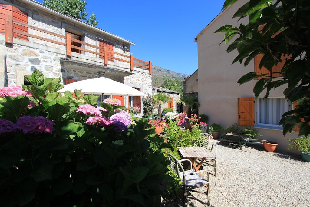 A MANDRIA, appartements avec cuisine 30m2, patio, vue Montagnes et citadelle, 5 minutes à pied du centre ville et des rivières Corte  Esterno foto
